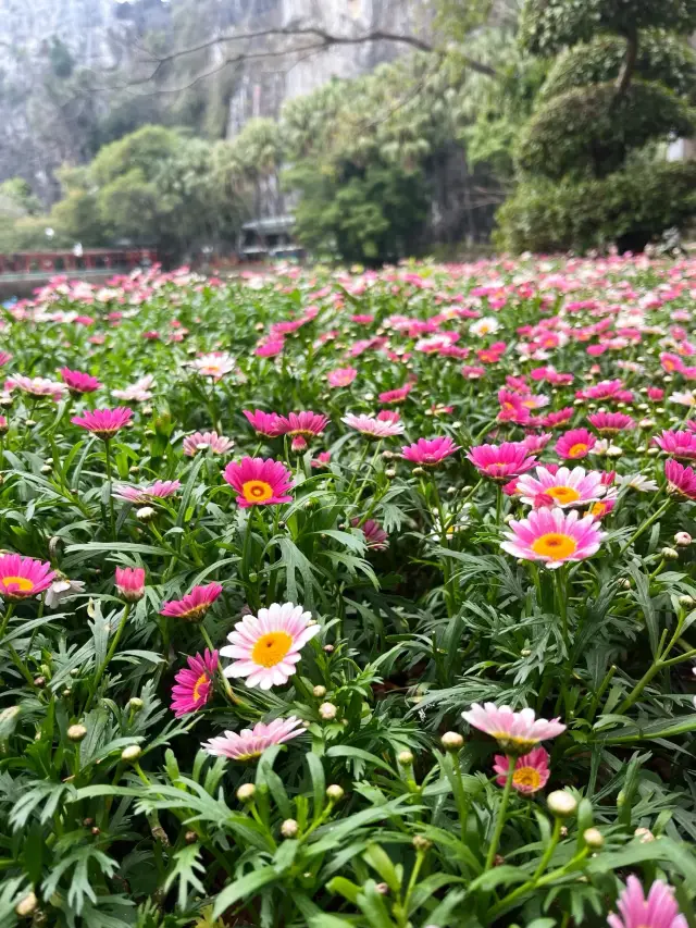 就喜歡這種市區中心的景點七星岩