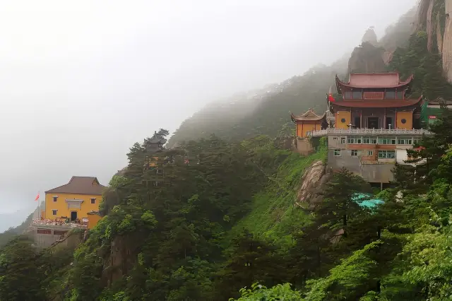 Spring always comes to Anhui, right? —— The boundless beauty of spring is all in Qingyang