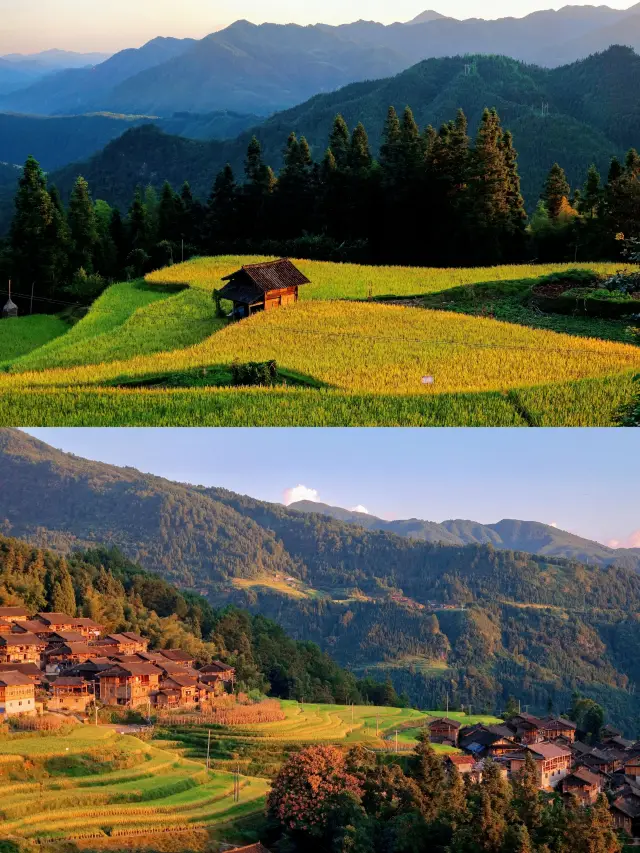 I'm starting to look forward to autumn to see how beautiful the terraced fields in Guizhou are