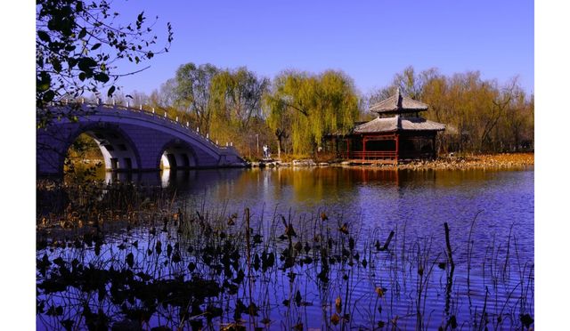 天津津北森林公園