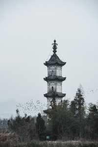 李白賦詩，碧山書局，又挖到個皖南遺世村落