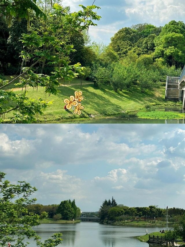 成都大草原·雙流中心公園