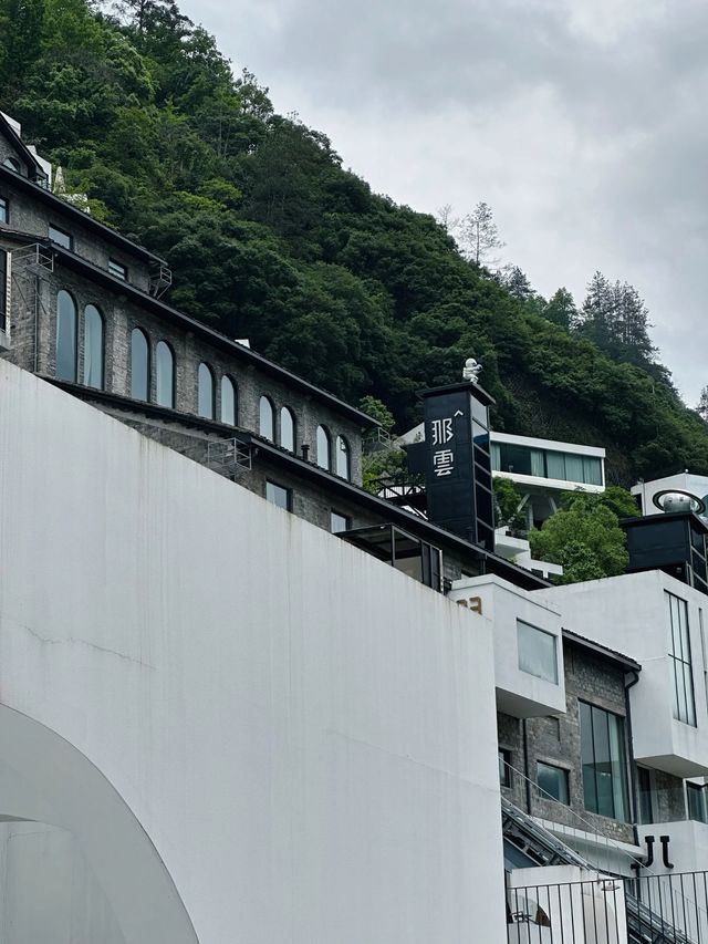 關於那雲那些事