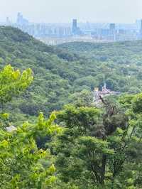 南京浦口老山森林公園