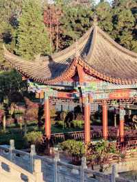 錦苑山公園