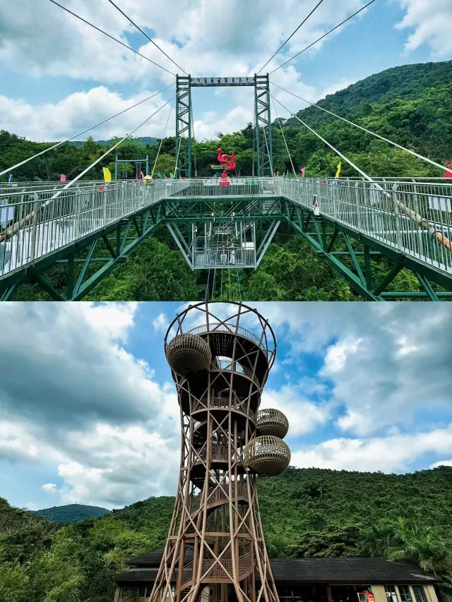 自然為我賦能 呀諾達熱帶雨林返璞歸真之旅