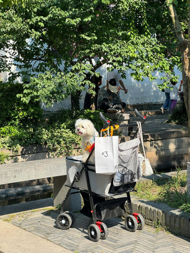 蘇州昆山一不小心仿若踏入了“真江南”