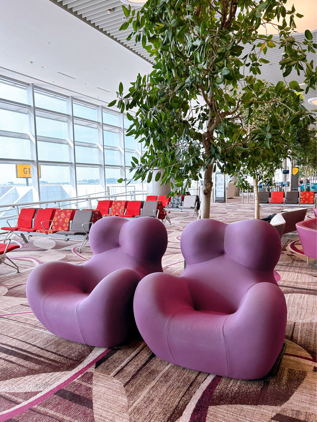 Art and Comfort: A Journey Through Changi Airport Terminal 4