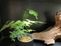 長沙神仙酒店！！！