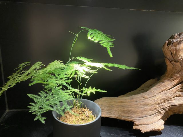 長沙神仙酒店！！！