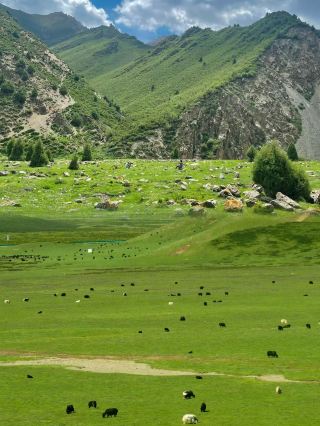 Trust me! You must go here in June, it's as good as Altay!!