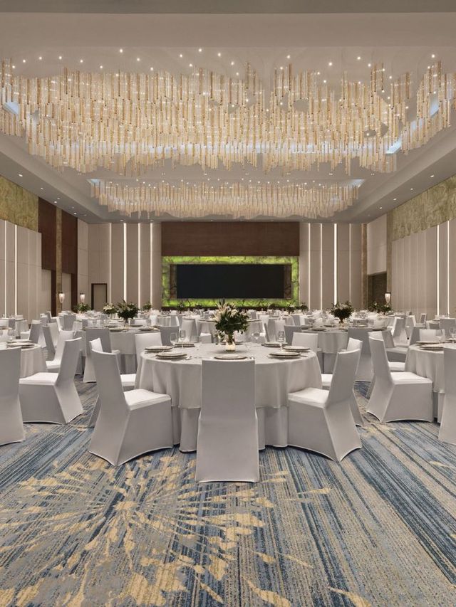 🌟 Manila Marvels: Westin's Luxe Comfort & Pet-Friendly Vibe 🐾