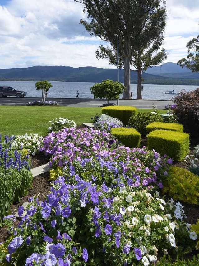 🌟 Lakeside Serenity & Comfort in Te Anau 🌟
