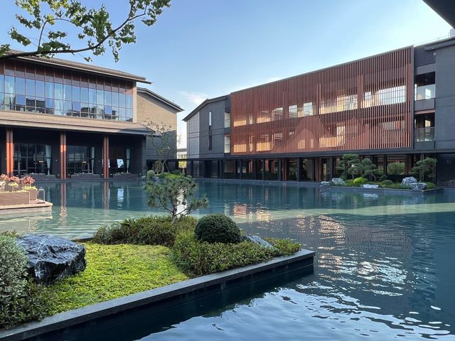 新開龍遊天元度假酒店高性價比親子寵物友好