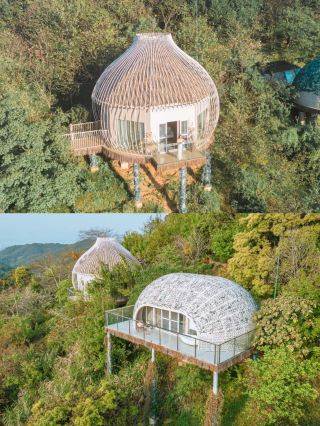 Treehouse! Space capsule! Glass house! Great vacation spots around Guangzhou
