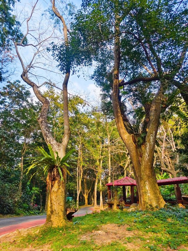 千萬不要錯過這個植物園！！！