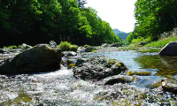 秋川溪谷－秋川谷天然消暑勝地