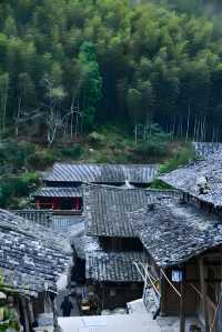 走遍千山萬水，這次帶你穿梭時空，探訪古樸靜謐的林坑古