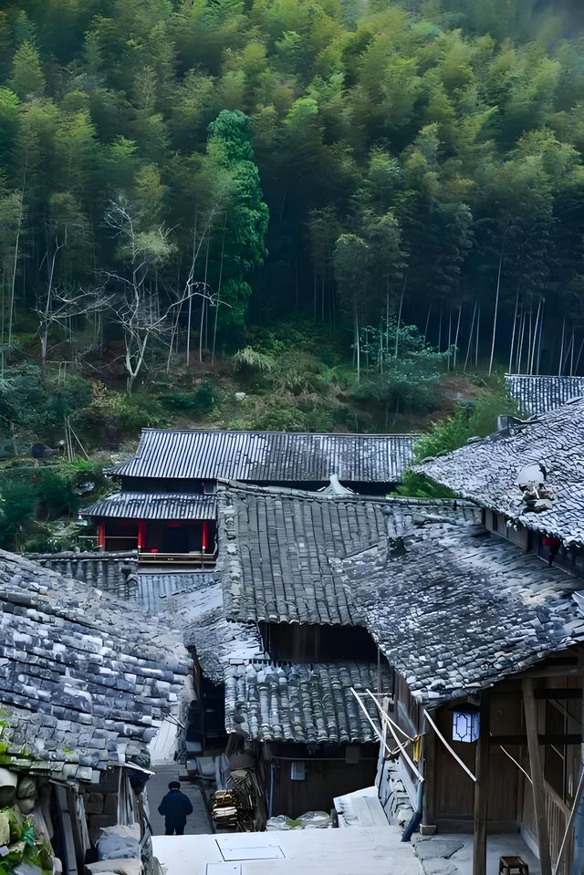 走遍千山萬水，這次帶你穿梭時空，探訪古樸靜謐的林坑古
