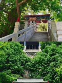 泰安小眾景點推薦，玉泉寺探訪指南