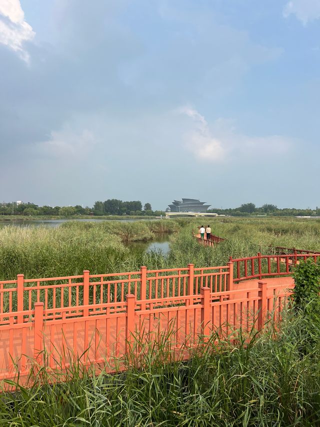 來東營，明月湖國家濕地公園真的不要錯過