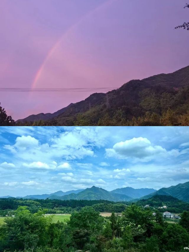 雷迪森怿曼|隱匿於茶香竹逸的溜娃好去處