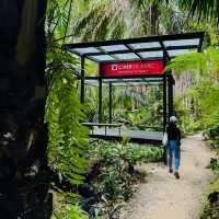 Hidden Hiking Trail in the city 🌳Taman Tugu Kuala Lumpur