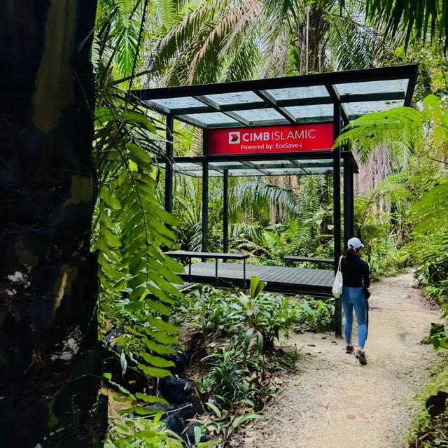 Hidden Hiking Trail in the city 🌳Taman Tugu Kuala Lumpur