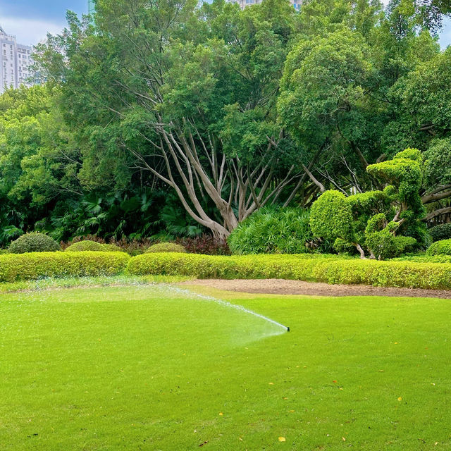 【白鷺洲公園】有廈門標誌性雕像，可以餵鴿子，賞燈光秀