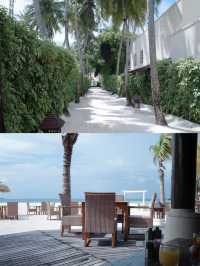 馬代悅榕莊Banyan Tree