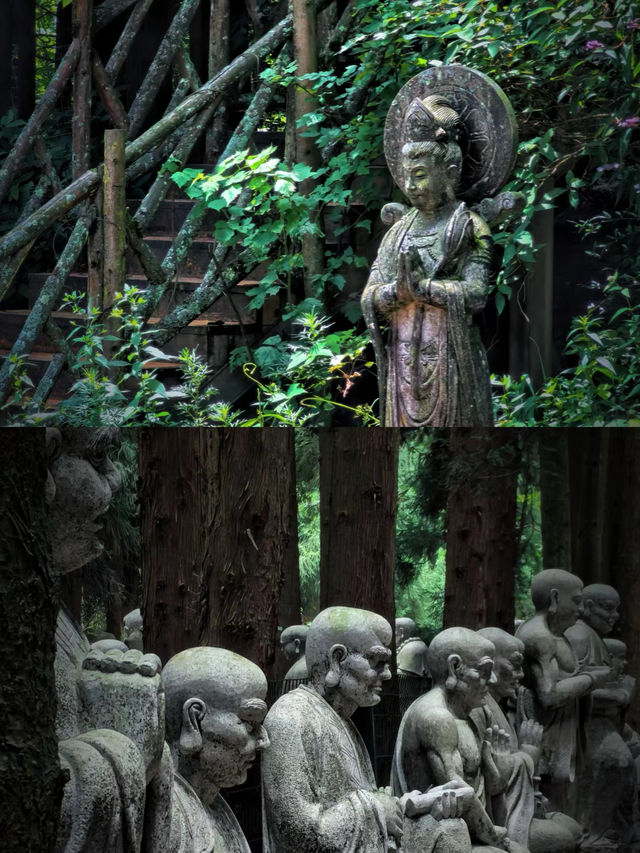 武陵山我在這裡找到了25度的夏天