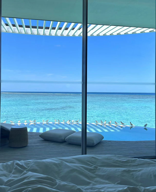 回來了,但心仍留戀在馬爾代夫｜絕美海景酒店。