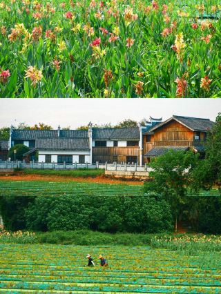 Ji'an | Wen Tianxiang Memorial Hall, where I realized my dream of the countryside. 