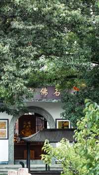 梅花洲怎麼變成綠野仙蹤了。