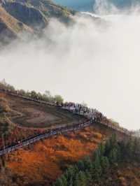 2024阿爾山之秋•9月22日同心天池秋色初起漸入佳境。