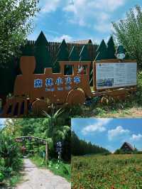 水上森林公園，您沒有來，那可就虧大了。