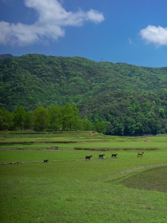 南昌鄰近的山居慢活。