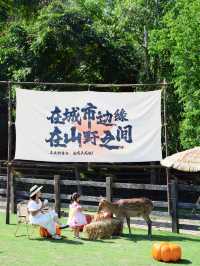 國慶安排一天來這裡！南瓜最多的遊樂園……。