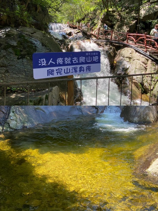 出去玩的姊妹注意啦，小心穿進童話世界。