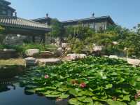 這麼近那麼美國慶遊磁州水墨園。