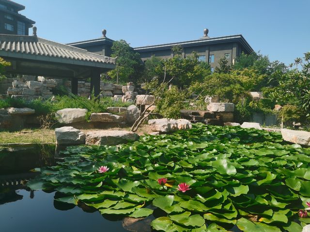 這麼近那麼美國慶遊磁州水墨園。