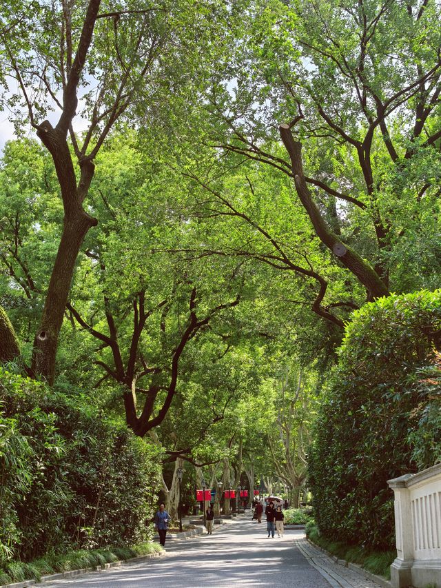 魔都綠寶石|中山公園。