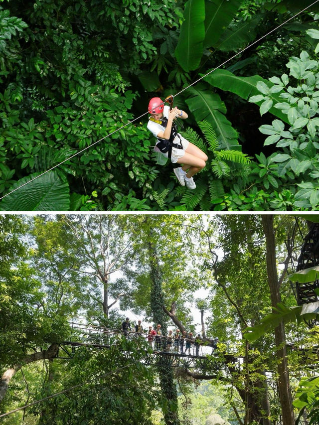 普吉島旅行必體驗之叢林飛躍！三大叢林飛躍該怎麼選？建議收藏！。
