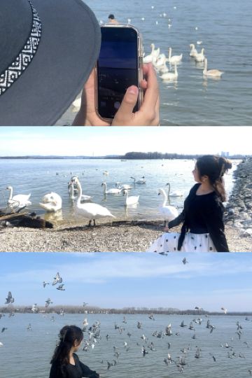 ทริป 5 วันไปเซอร์เบียและมอนเตเนโกร ราคา 3,500 ดอลลาร์ฮ่องกงต่อคน: คู่มือเตรียมความพร้อมก่อนการเดินทาง