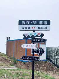 金華青梅尖丨海拔1314米的絕美露營地。