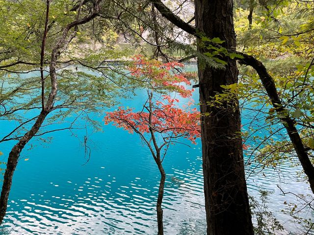 九寨溝遊玩攻略。