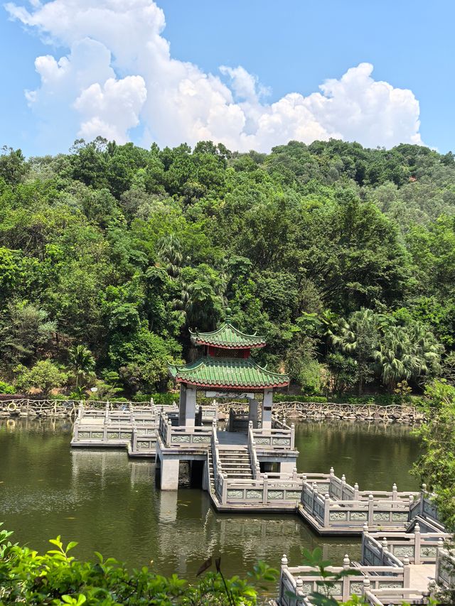 豐順公園風景區。