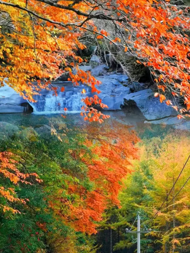 미창산 국립산림공원 | 가을 동화 여행과의 만남.
