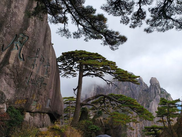 黃山兩日徒步黨建活動怎麼排？看這裡！