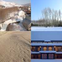 《瑞雪谷：澳洲的兩日冰雪奇緣之旅》。